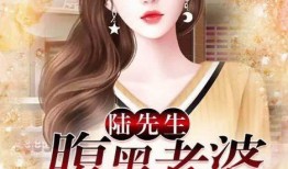 圈内爆料女主小说免费阅读,女主小说免费阅读，揭开神秘爱情故事面纱